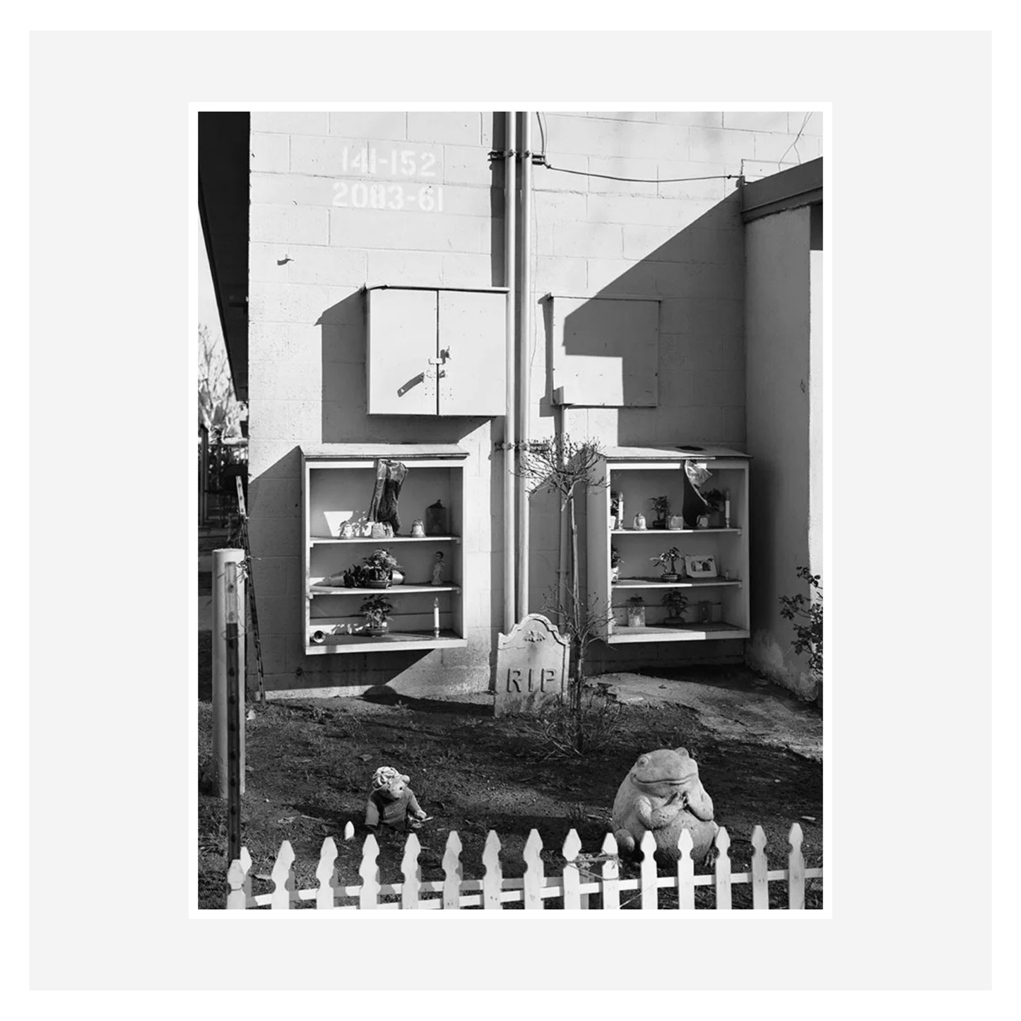 "Imperial Courts" by Dana Lixenberg