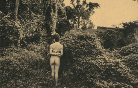 "Mayfly" by Daido Moriyama
