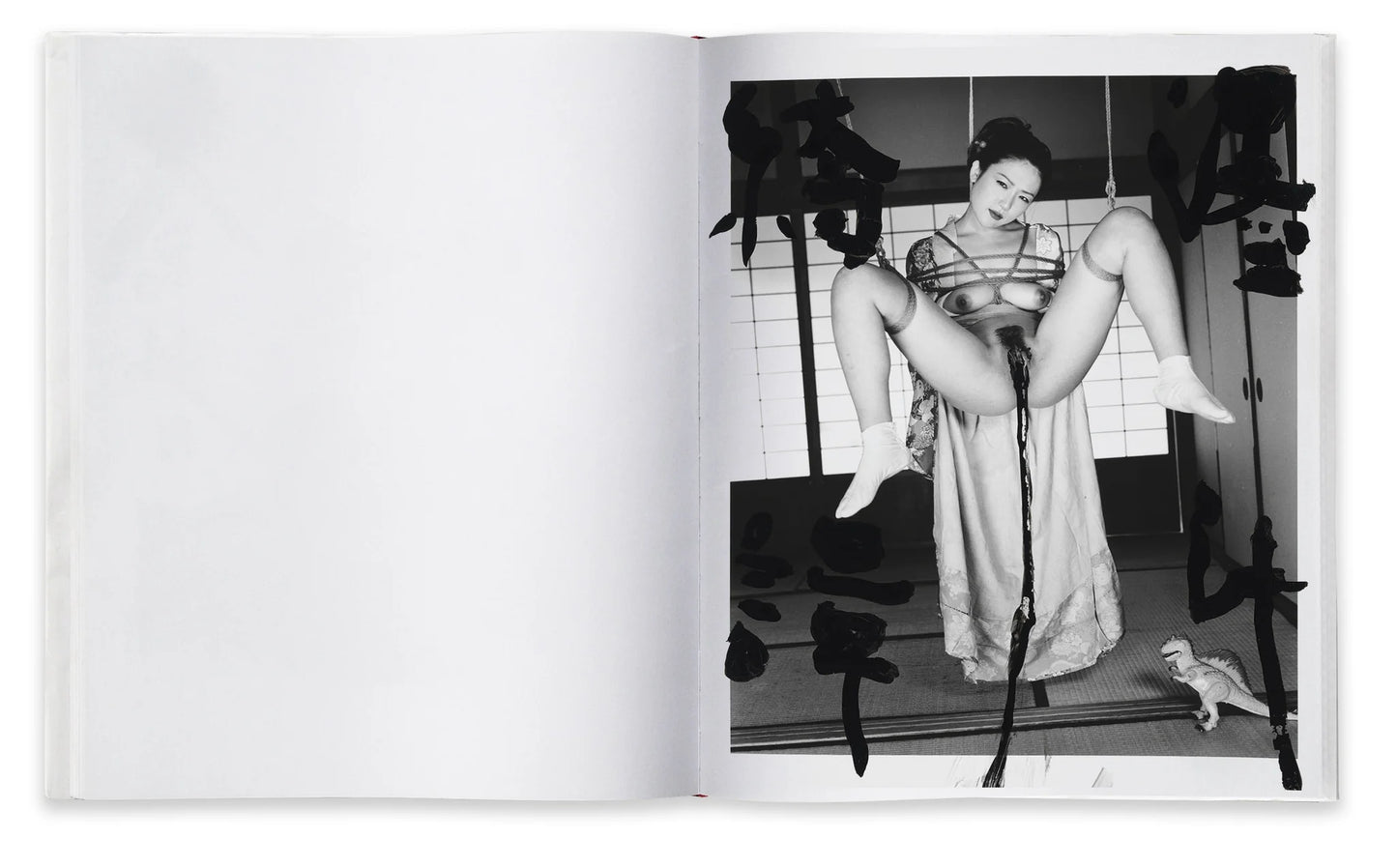 “Marvelous Tales of Black Ink” by Nobuyoshi Araki