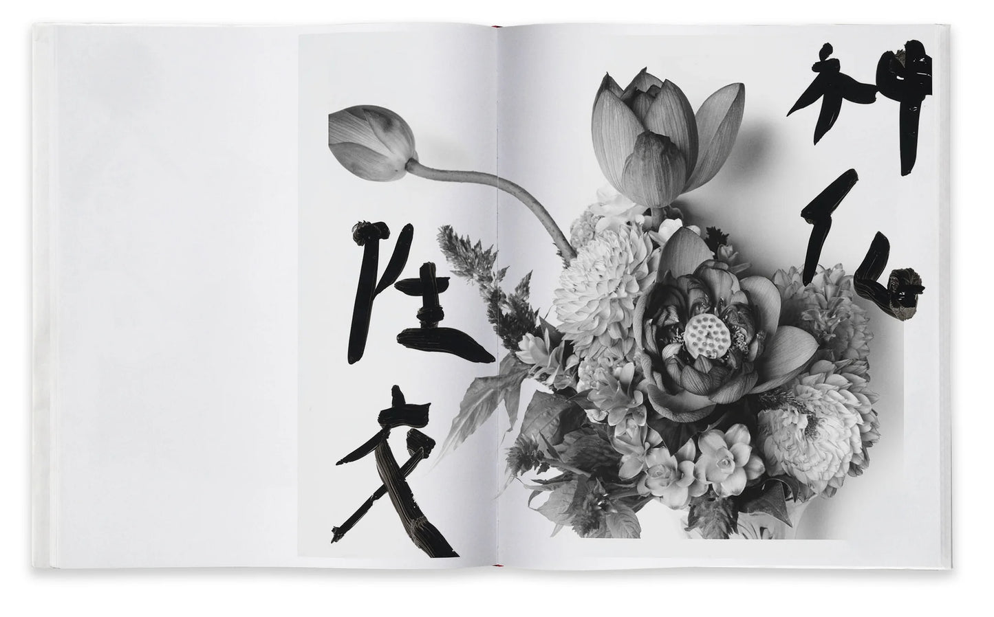 “Marvelous Tales of Black Ink” by Nobuyoshi Araki