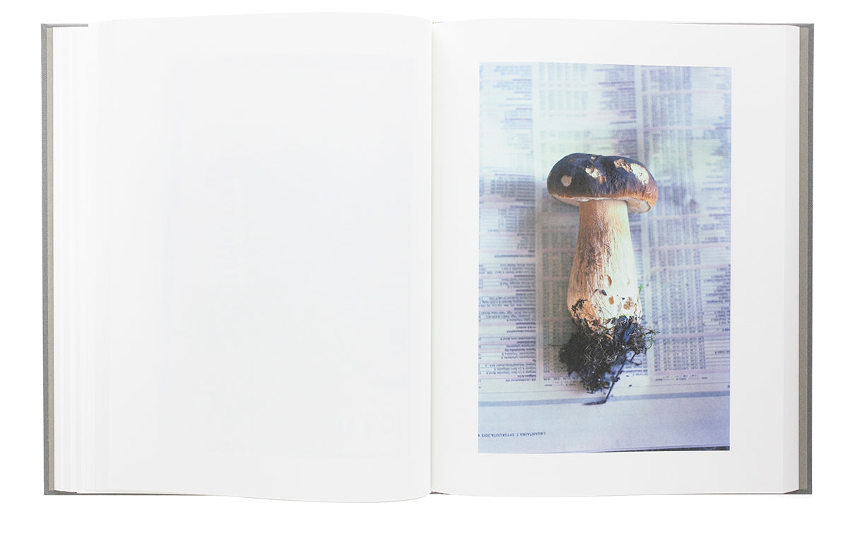 “Symphony - mushrooms in the forest” by Takashi Homma (SIGNED)