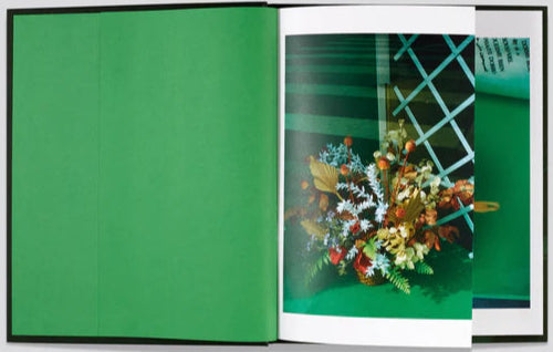 "Folio" by Vivianna Sassen (SIGNED)