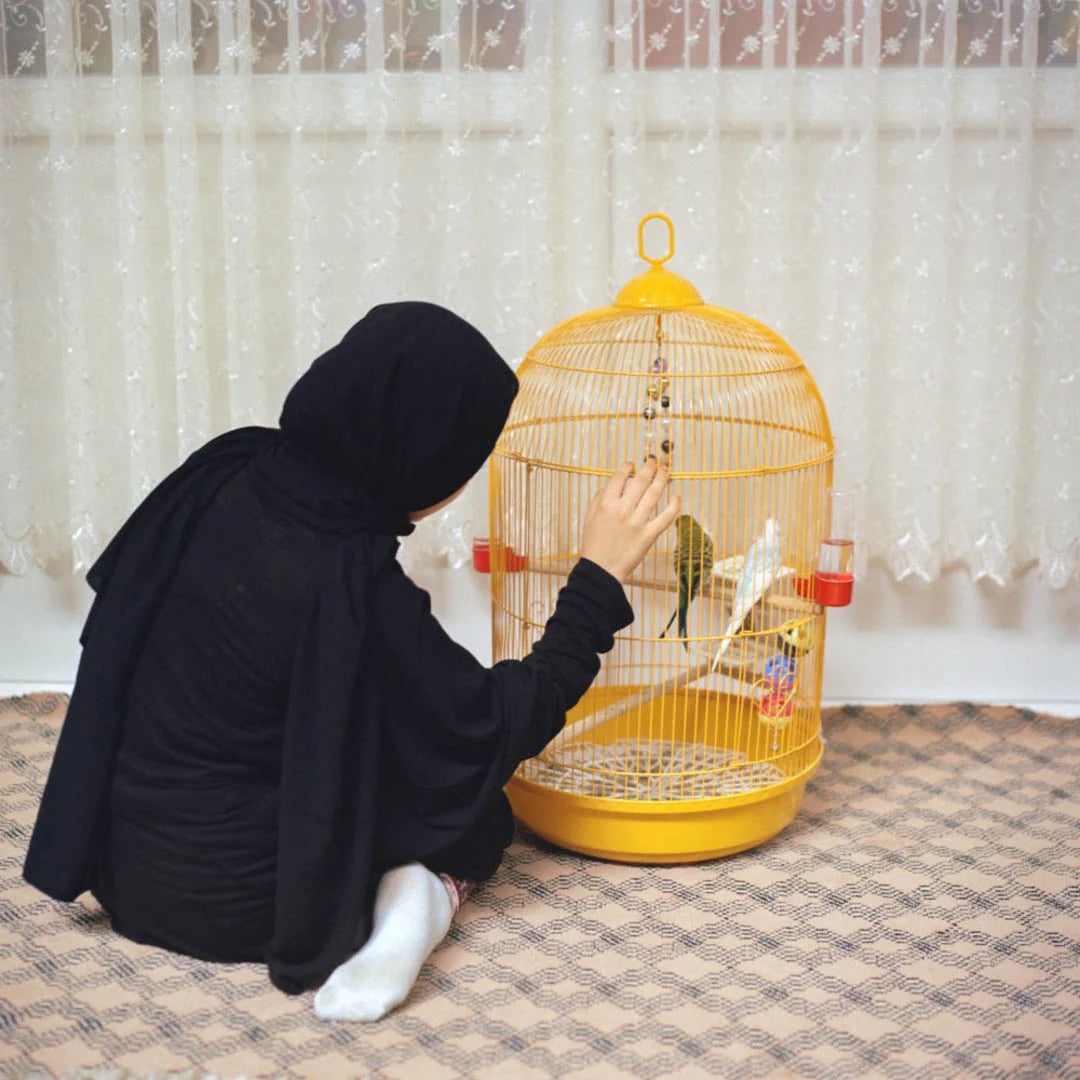 "Hafiz" by Sabiha Çimen (1st Edition)
