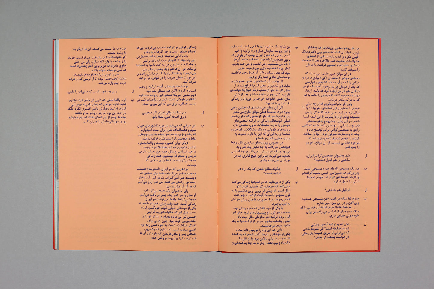 "There Are No Homosexuals in Iran" by Laurence Rasti