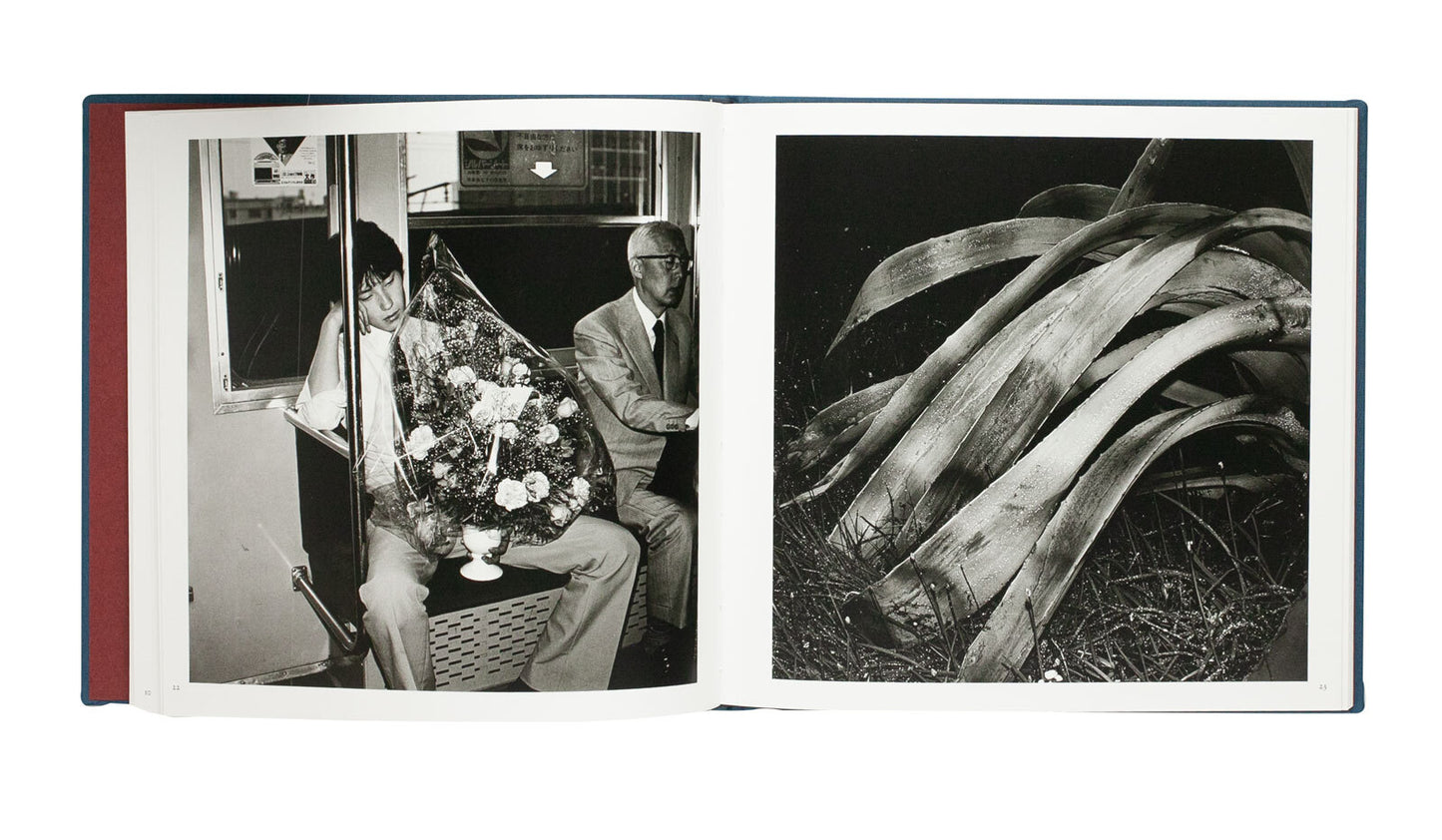 "Monogusa Shui" by Issei Suda