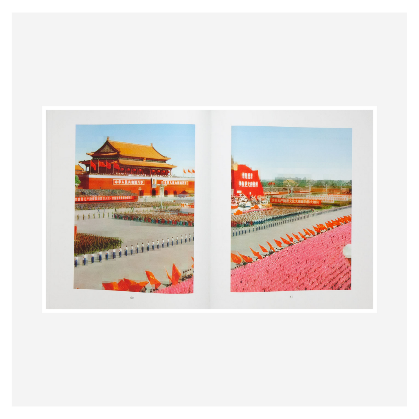 "Tableaux Chinois" by Thomas Ruff