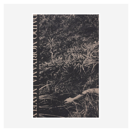 "Mayfly" by Daido Moriyama