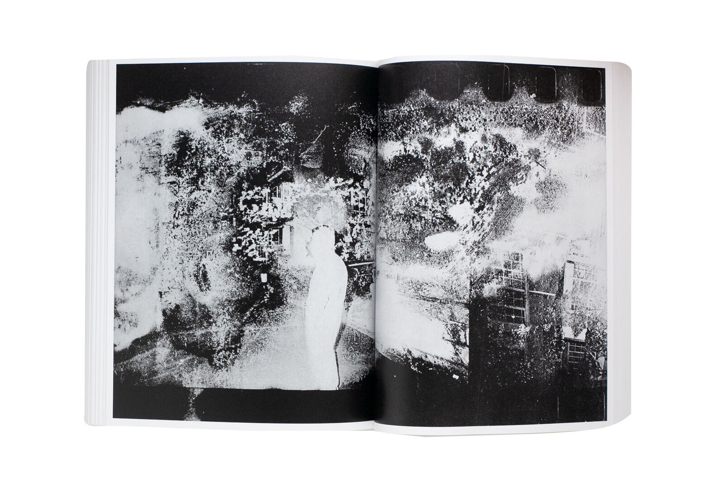 "Farewell Photography" by Daido Moriyama