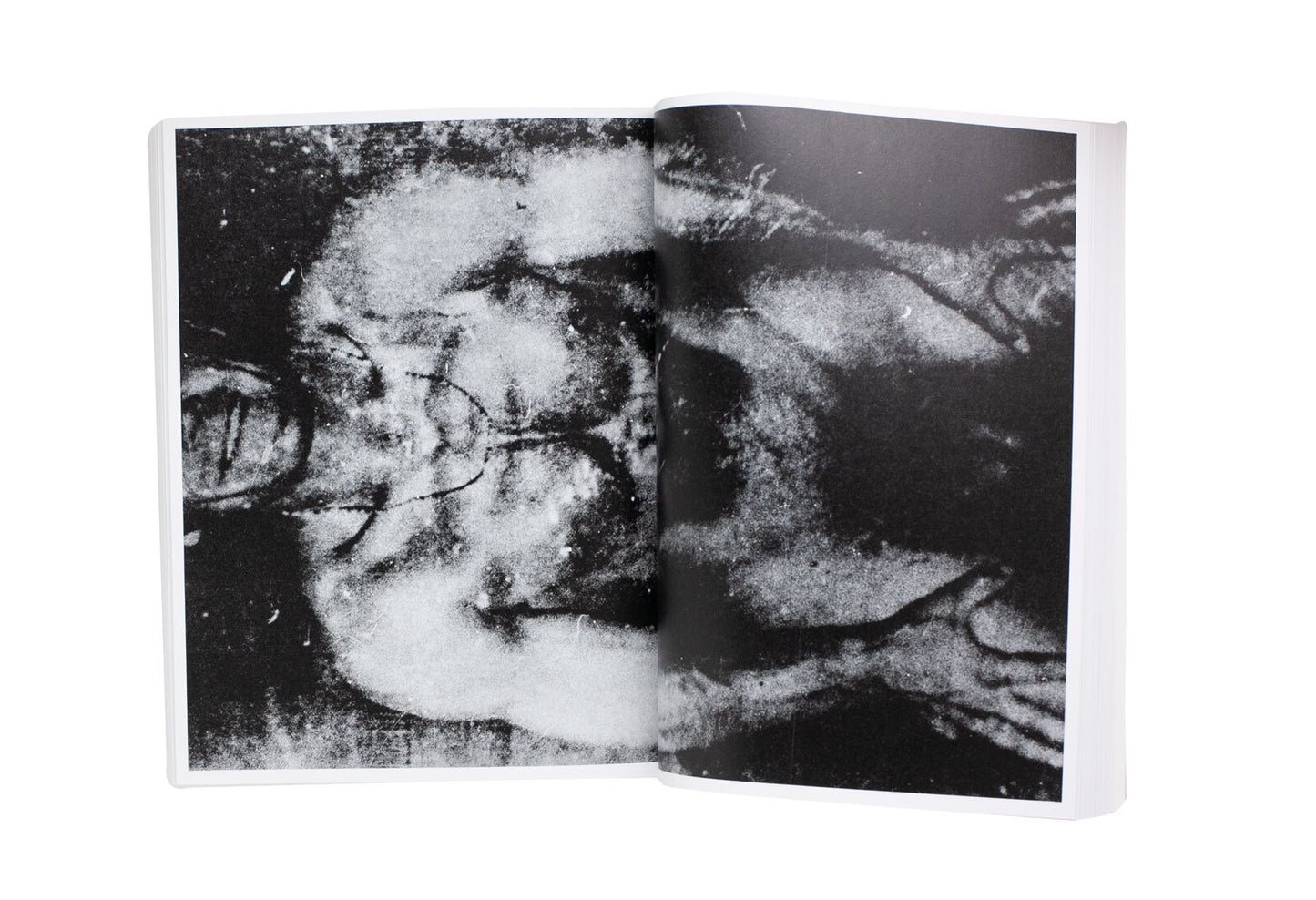"Farewell Photography" by Daido Moriyama