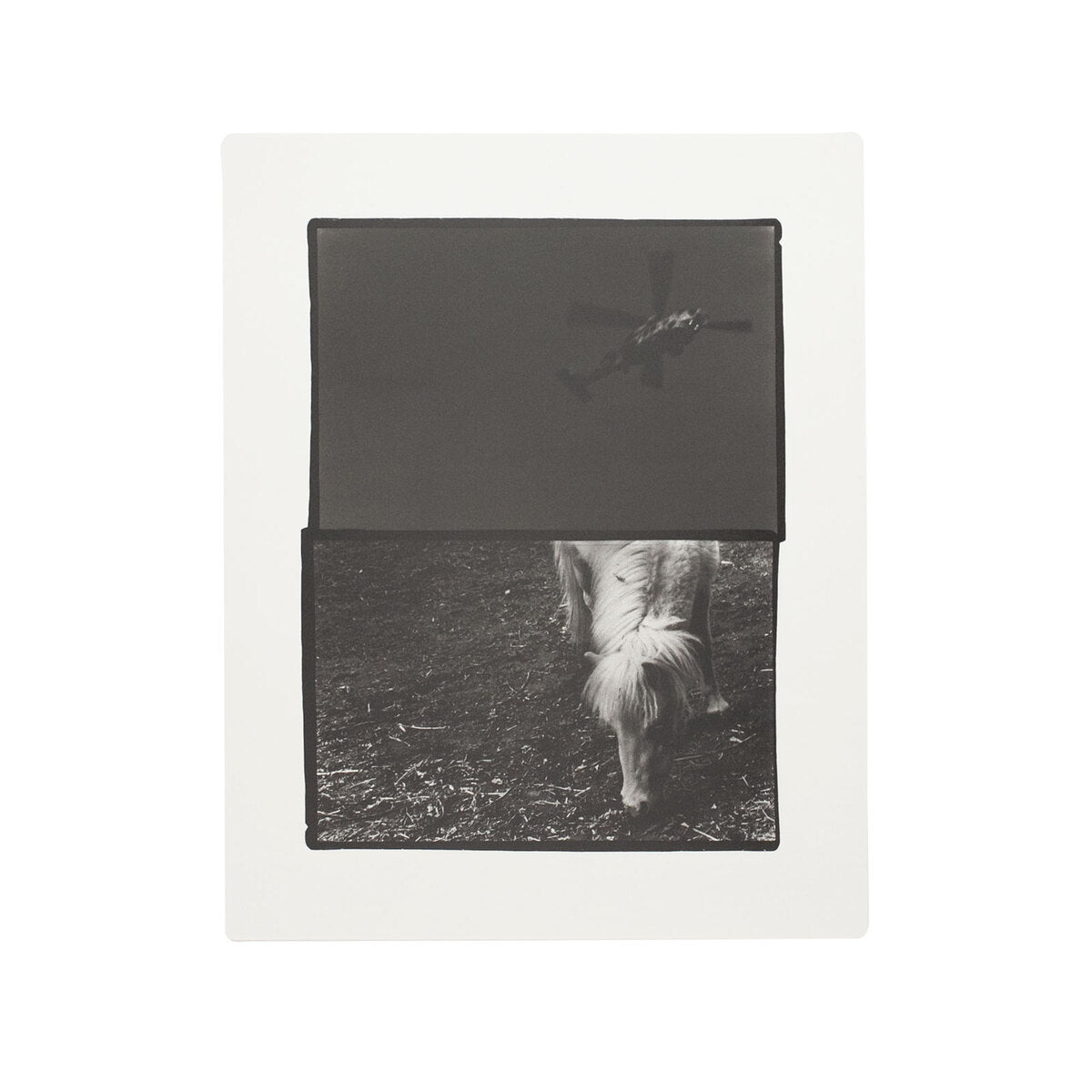 "Träumerei" by Sakiko Nomura (SIGNED)